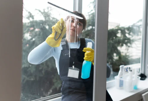Nettoyage de vitres intérieures et extérieures à Bougarber